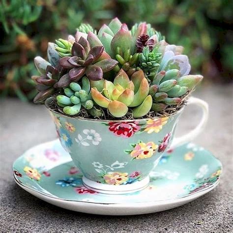 10 Indoor Succulent Plant Ideas Decoomo