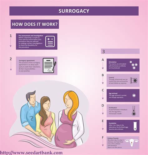 Surrogacy Process In India Visually