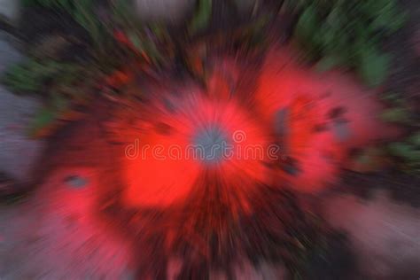 Creative Blur With Zoom Effect Abstract Bright Multicolored Background