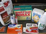 Photos of Borax To Kill Carpenter Ants