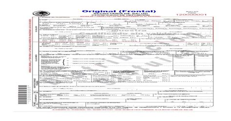 Certificado De Defunción Y Defunción Fetal México Pdf Document