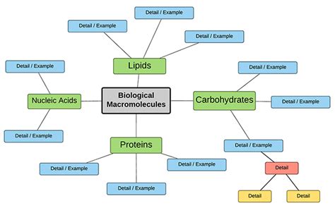 Biological Molecules Concept Map