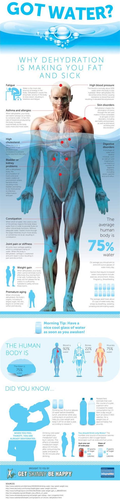 Why Proper Hydration Is Important Infographics