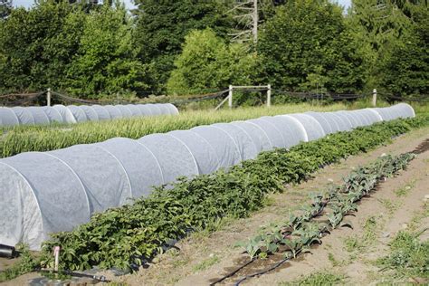 How to start seeds indoors using egg shells. EXTENDING THE SEASON WITH LOW TUNNELS | Kellogg Garden ...