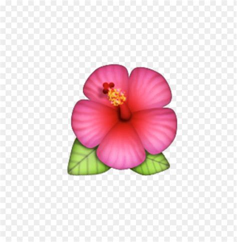 Purple Flower Emoji Copy Paste Best Flower Site