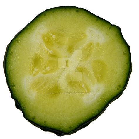 Cucumber Slice PNG by Bunny-with-Camera on DeviantArt png image