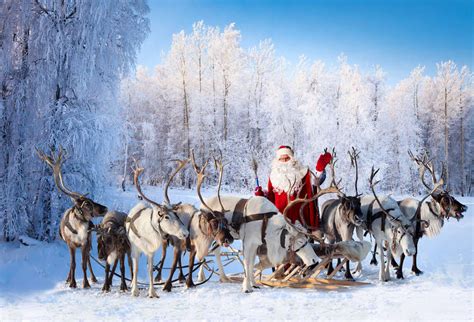 Santas Reindeer Names Every Reindeer Ranked From Rudolph To Prancer