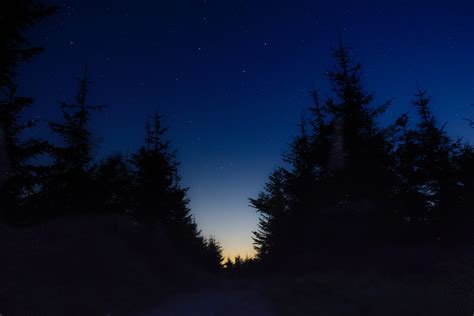 Starry Sky Night Trees Wallpapers From Chappie Images From Fonwall