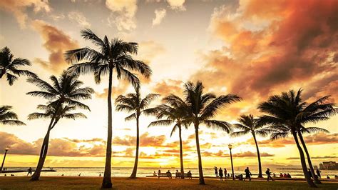 1080p Free Download Waikiki Hawaii Palm Sunset Usa Sea Trees