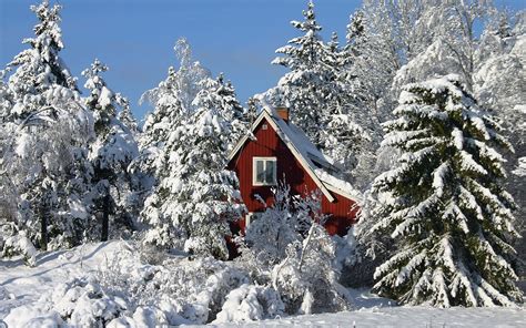Lodge Snow Trees Winter Snowdrifts Roof Wallpaper Coolwallpapersme