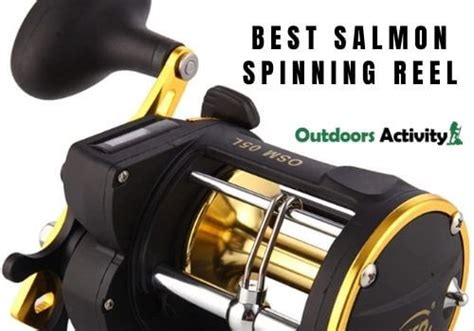 Best Spinning Reel For Salmon And Steelhead Outdoors Activity