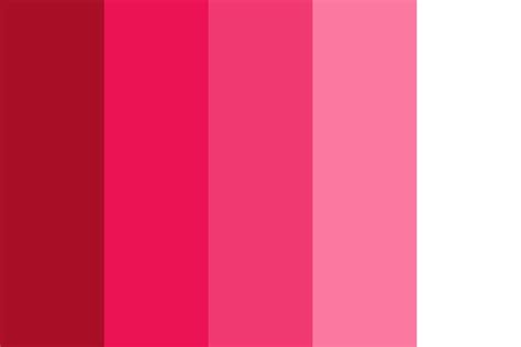 Raspberry Sweet Color Palette
