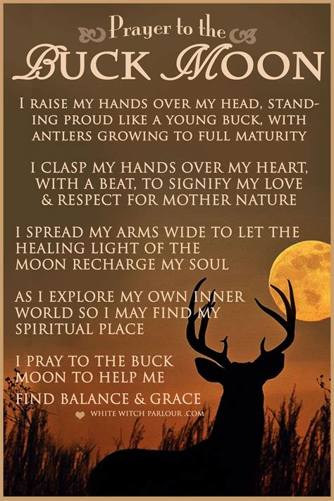 Full Moon Summer Buck Moon July Witch Metaphysical Wicca Spells