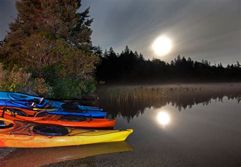 Bioluminescence Kayak Tour And Other Cool Date Ideas