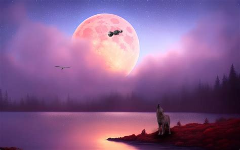 Lake Moon Wolf Free Image On Pixabay