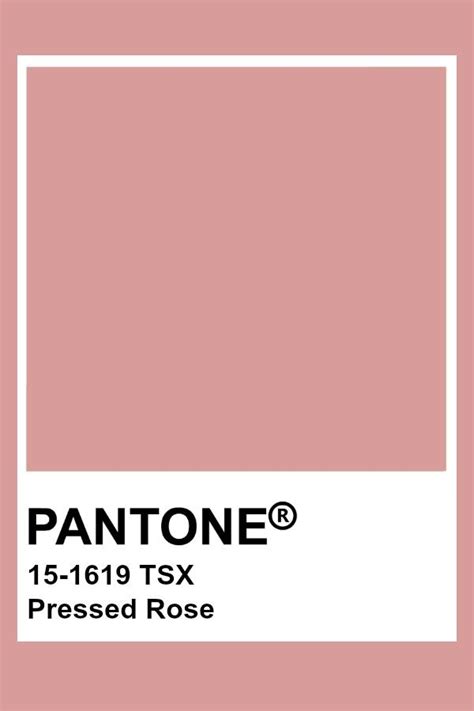 Pantone Pressed Rose Pantone Colour Palettes Pantone Color Pantone