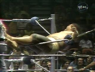 Steve S Graps Wwwf Msg June