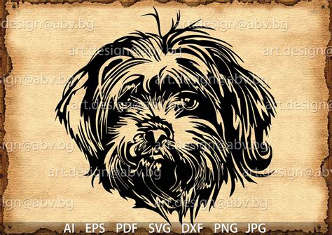 Terrier Dogs Terrier Mix Shih Tzu Vector Dog Media Mix Adobe