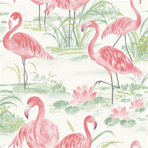 Nuwallpaper Pink Flamingo Beach Peel And Stick Wallpaper