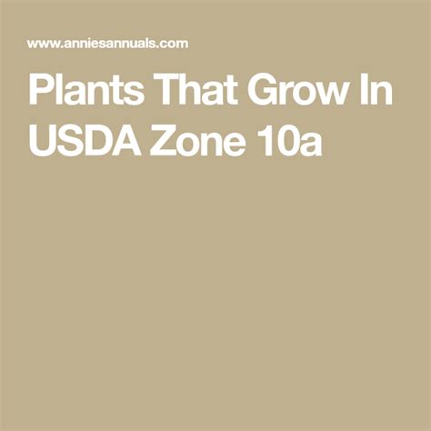 Plants That Grow In Usda Zone 10a In 2020 Usda Zones Usda Plants