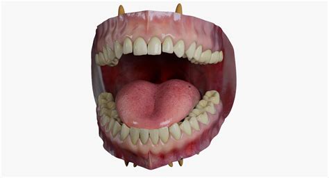 Mouth Realistic Human Model 1148113 Turbosquid