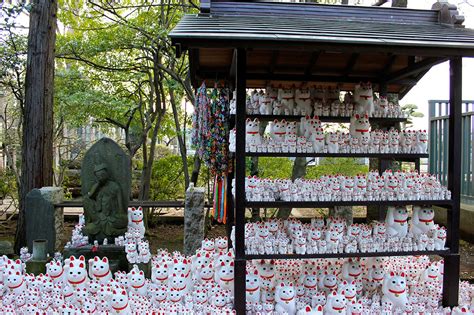 Gotokuji Temple Tokyo Japan Instagrammable Places Japan Travel