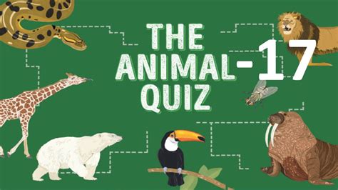 General Knowledge Quiz On Animals Part 17 Youtube