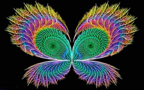 Colorful Butterfly Backgrounds Rainbow Butterfly Abstract Butterfly Colorful Fractal Glow
