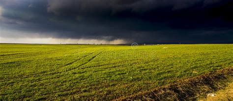 A Green Field Laying Under Cloudy Dark Sky Stock Photo Image Of