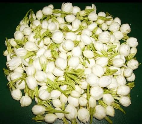 White Fresh Madurai Jasmine At Rs 400kg In Madurai Id 22592947373