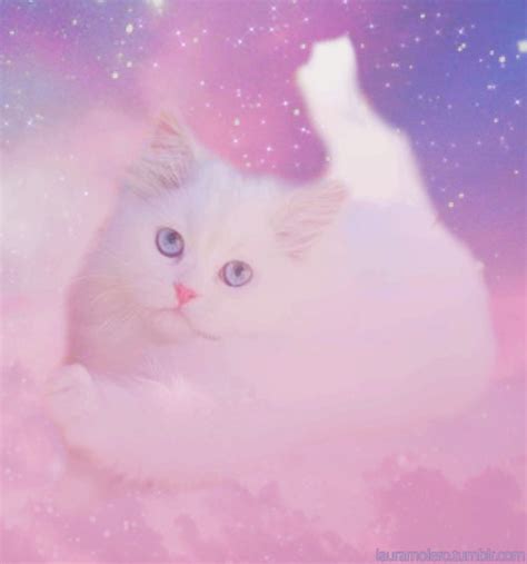 Galaxy Cat Edit Tumblr
