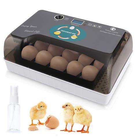 Egg Incubator 9 15 Eggs Fully Automatic Poultry Hatcher Machine With Humidity Display Egg