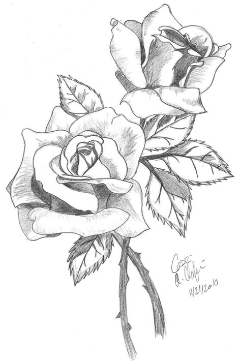 Рисуноки розы для срисовки 35 фото 🔥