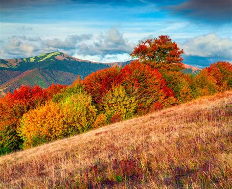 Colorfull Autumn Morning In The Carpathian Mountains Stock Photo