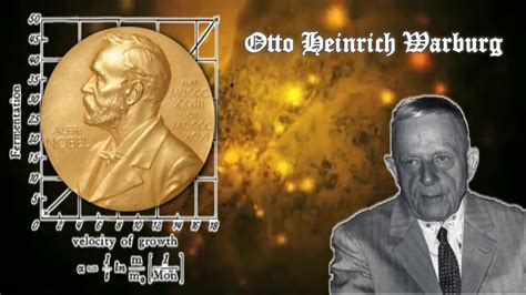 Otto heinrich warburg was born on october 8, 1883, in freiburg, baden. La causa del cancer (Otto Warburg) - YouTube