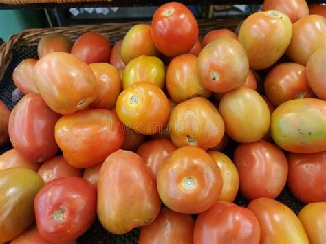 Tomato Fruit Stocks At Supermarket Stock Image Image Of Berry Flower