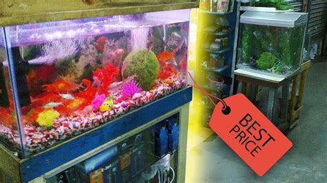 Cheap Fish Tanks / Aquariums - Petco $1 a gallon sale ... › craigslist aquarium for sale.