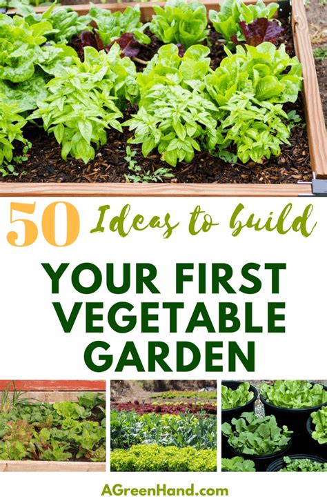 50 Ideas To Build Your First Vegetable Garden A Green Hand
