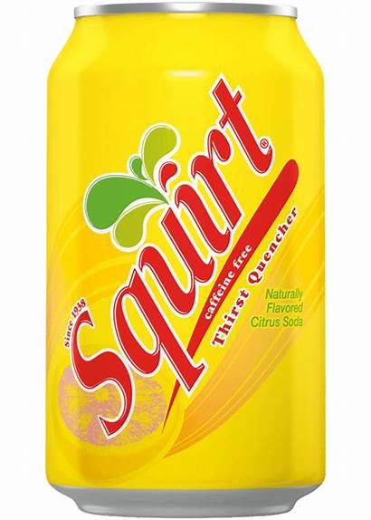 Squirt Soda Grapefruit 12oz Snackoree Pack Publix