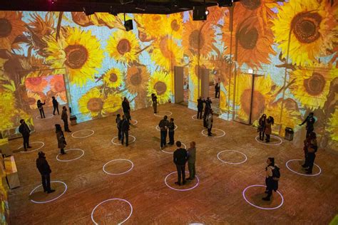 Immersive Van Gogh Exhibit Is Heading To Los Angeles And San Francisco