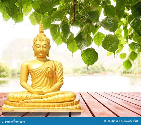The Statue Of The Buddha Sitting Under The Bodhi Tree Stock Photo