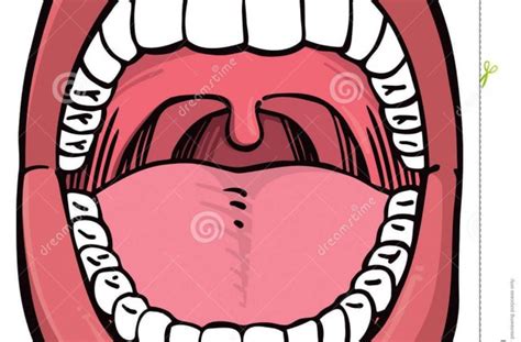 Open Mouth With Teeth Clipart 20 Free Cliparts Download Images On
