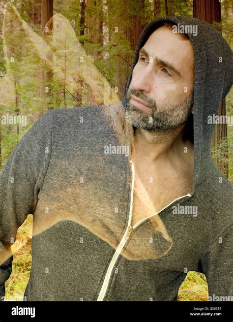 Double Exposure Of Man And Coyote In Green Forest Stock Photo Alamy