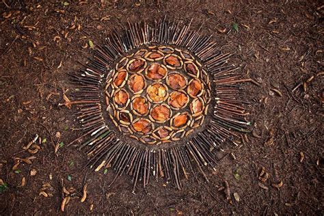 Artist Turns Natural Objects Into Mesmerizing Mandalas And Leaves Them