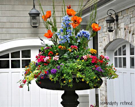 Brightly Colored Annual Flowers Spring And Summer Urn By Serendipity