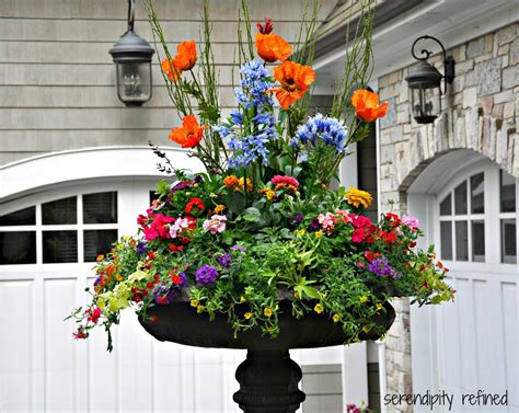 List of late spring flowers. Spring urn planter flower arrangement with forsythia ...