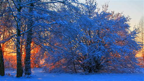 Winter Wallpapers High Quality Download Free