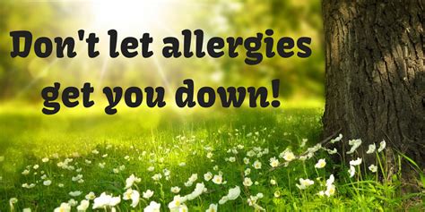 Dont Let Allergies Get You Down — Back To Health Wellness Centre