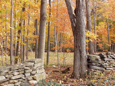 New England Stone Walls Photos Yankee Magazine