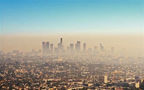 For those of us living in a city or town, the thought is unrealistic. How Air Pollution Affects Human Health | VWU Online